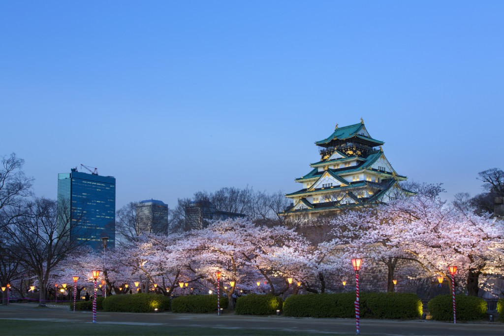 大阪城夜桜